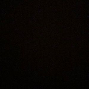 Meet your Posher, Carter